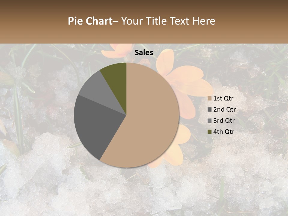 A Group Of Yellow Flowers Sitting On Top Of Snow Covered Ground PowerPoint Template
