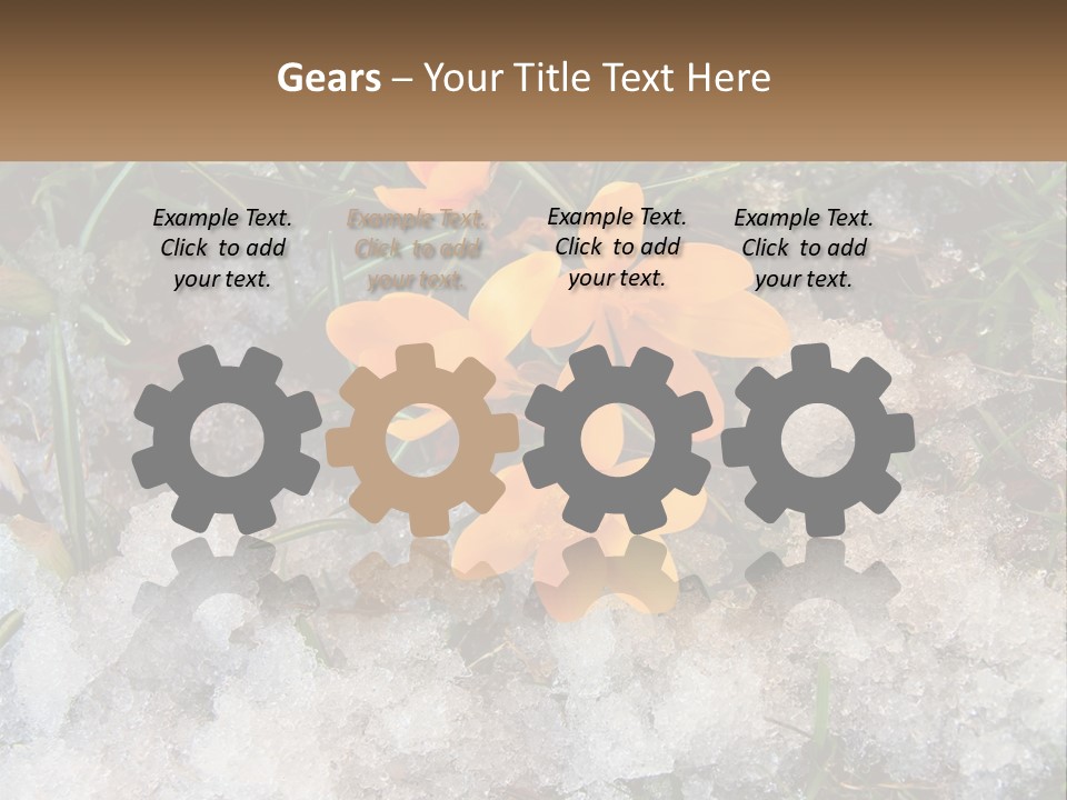 A Group Of Yellow Flowers Sitting On Top Of Snow Covered Ground PowerPoint Template