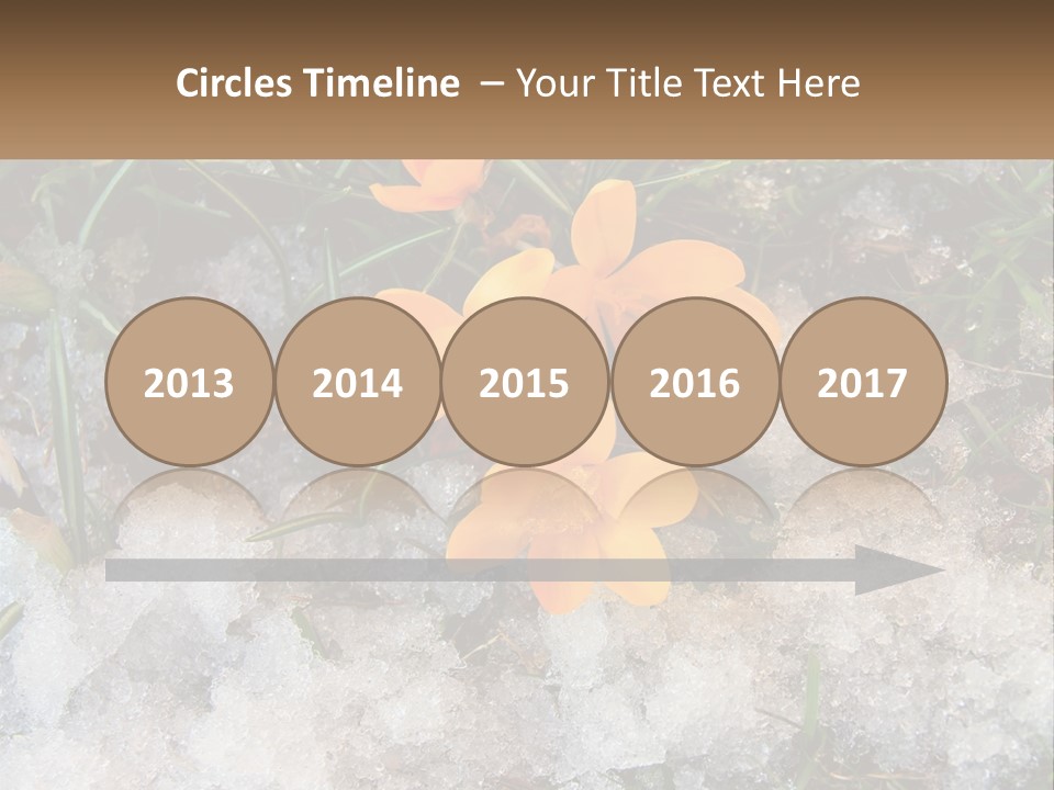 A Group Of Yellow Flowers Sitting On Top Of Snow Covered Ground PowerPoint Template
