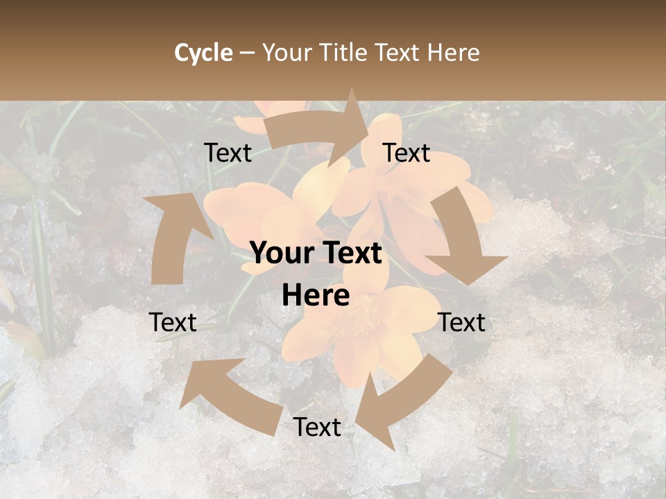 A Group Of Yellow Flowers Sitting On Top Of Snow Covered Ground PowerPoint Template