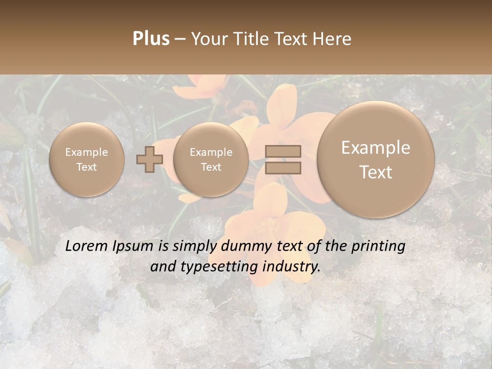 A Group Of Yellow Flowers Sitting On Top Of Snow Covered Ground PowerPoint Template