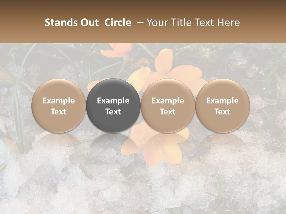 A Group Of Yellow Flowers Sitting On Top Of Snow Covered Ground PowerPoint Template