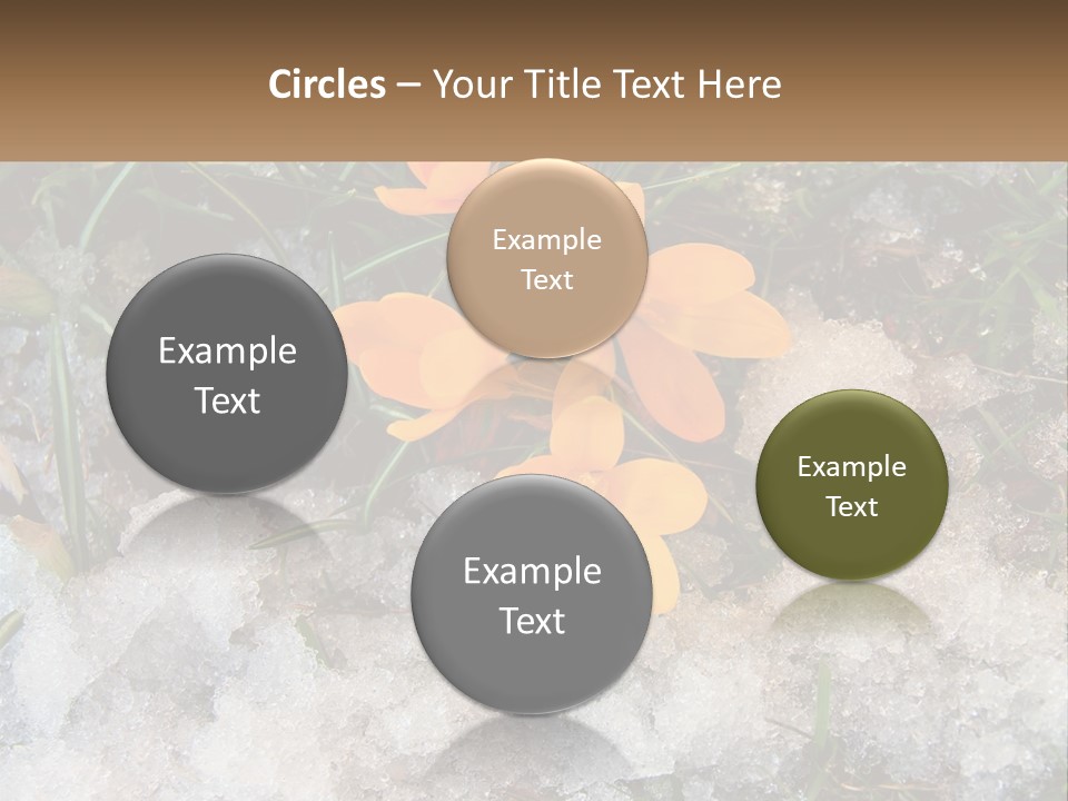 A Group Of Yellow Flowers Sitting On Top Of Snow Covered Ground PowerPoint Template