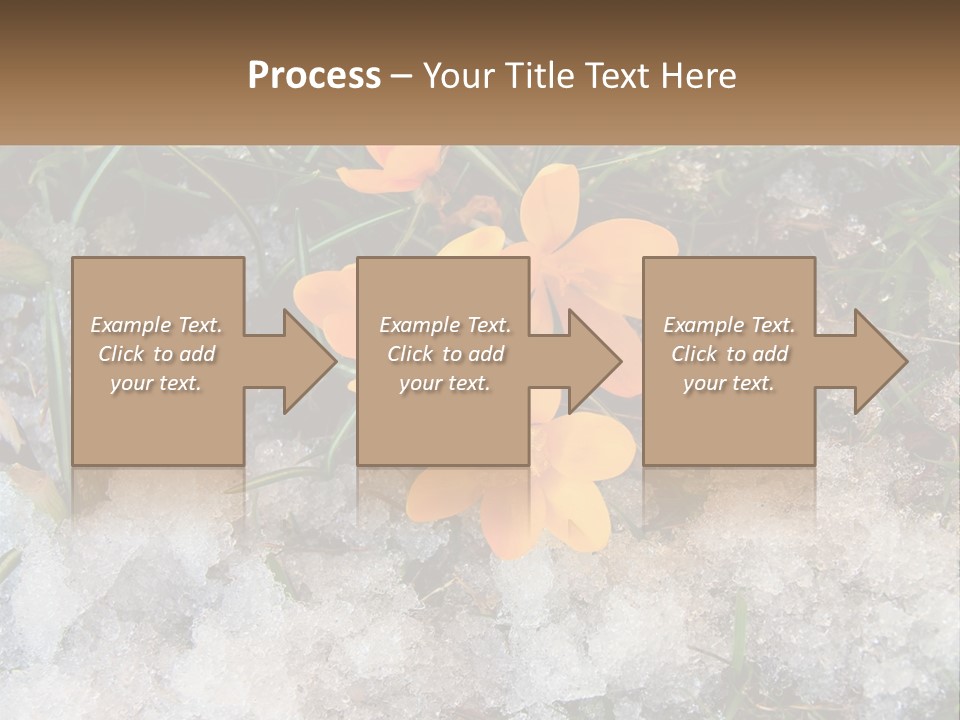 A Group Of Yellow Flowers Sitting On Top Of Snow Covered Ground PowerPoint Template