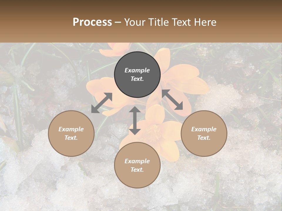 A Group Of Yellow Flowers Sitting On Top Of Snow Covered Ground PowerPoint Template