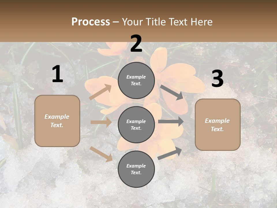A Group Of Yellow Flowers Sitting On Top Of Snow Covered Ground PowerPoint Template