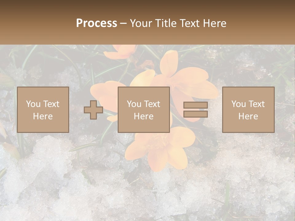 A Group Of Yellow Flowers Sitting On Top Of Snow Covered Ground PowerPoint Template