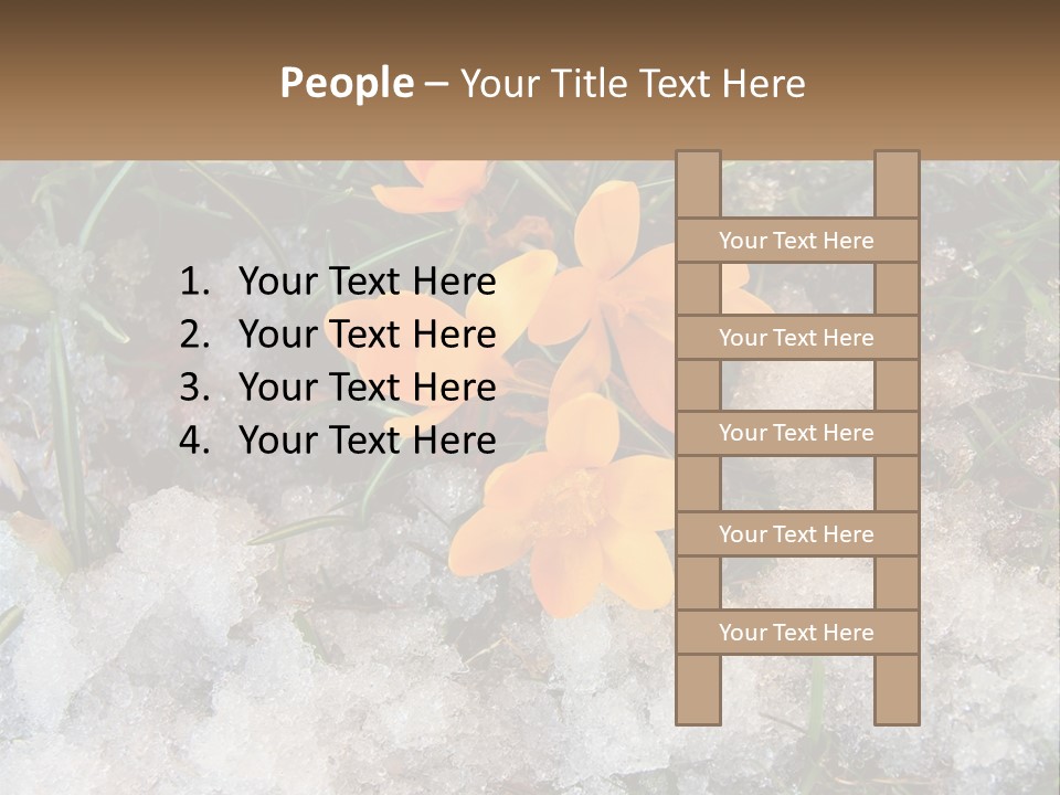 A Group Of Yellow Flowers Sitting On Top Of Snow Covered Ground PowerPoint Template