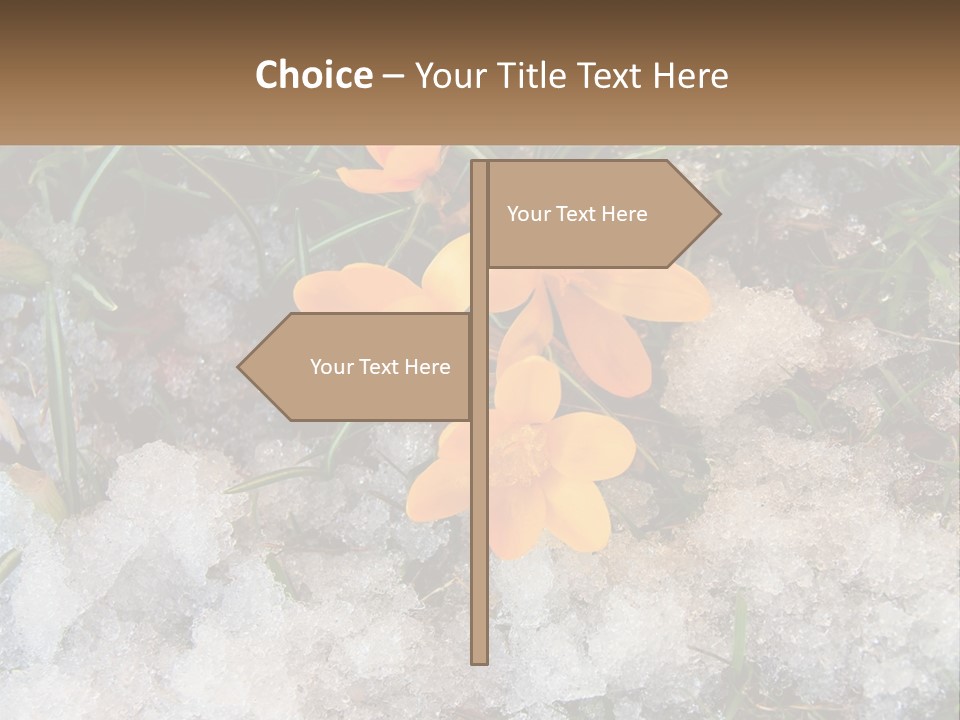 A Group Of Yellow Flowers Sitting On Top Of Snow Covered Ground PowerPoint Template