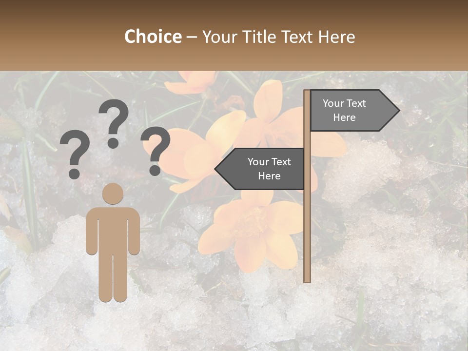 A Group Of Yellow Flowers Sitting On Top Of Snow Covered Ground PowerPoint Template