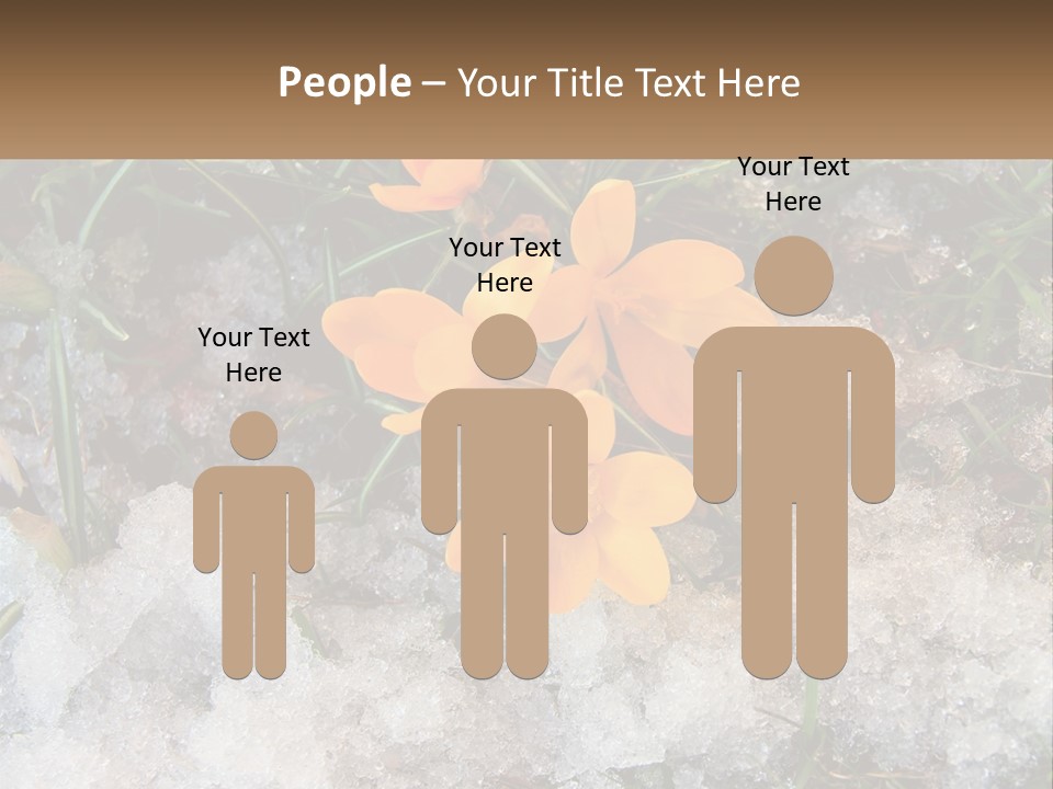 A Group Of Yellow Flowers Sitting On Top Of Snow Covered Ground PowerPoint Template