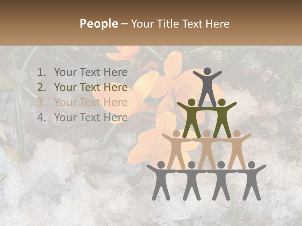 A Group Of Yellow Flowers Sitting On Top Of Snow Covered Ground PowerPoint Template