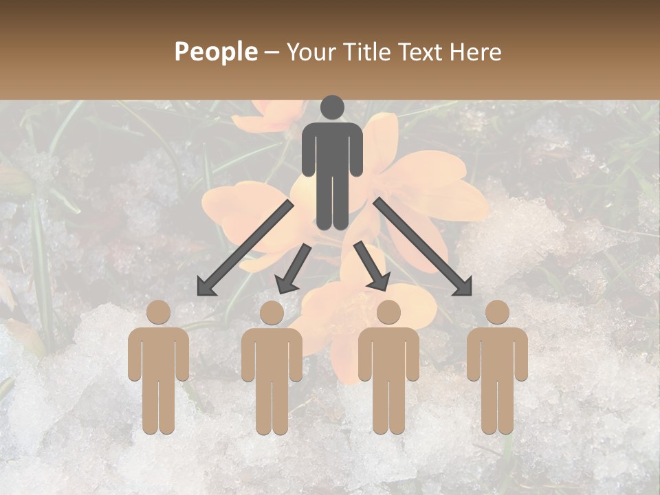 A Group Of Yellow Flowers Sitting On Top Of Snow Covered Ground PowerPoint Template