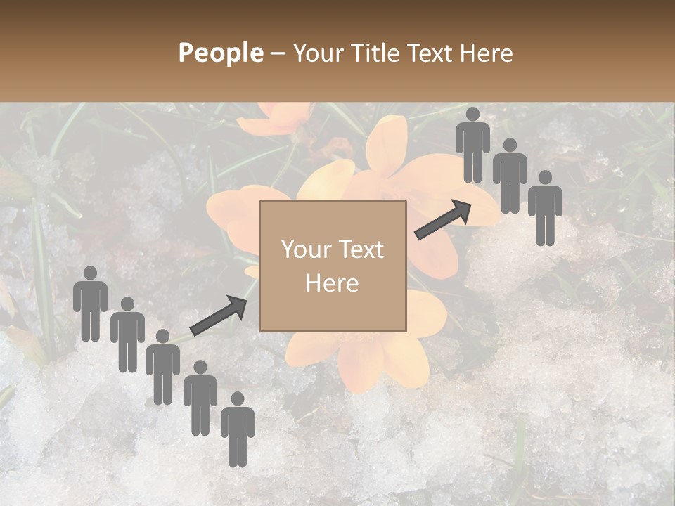 A Group Of Yellow Flowers Sitting On Top Of Snow Covered Ground PowerPoint Template