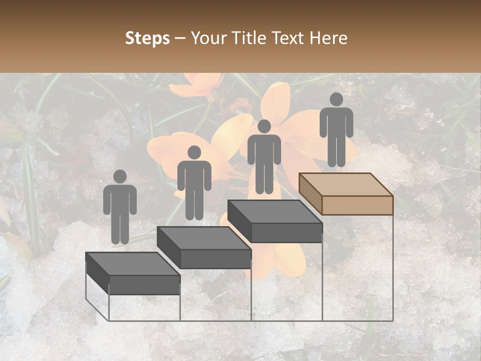 A Group Of Yellow Flowers Sitting On Top Of Snow Covered Ground PowerPoint Template