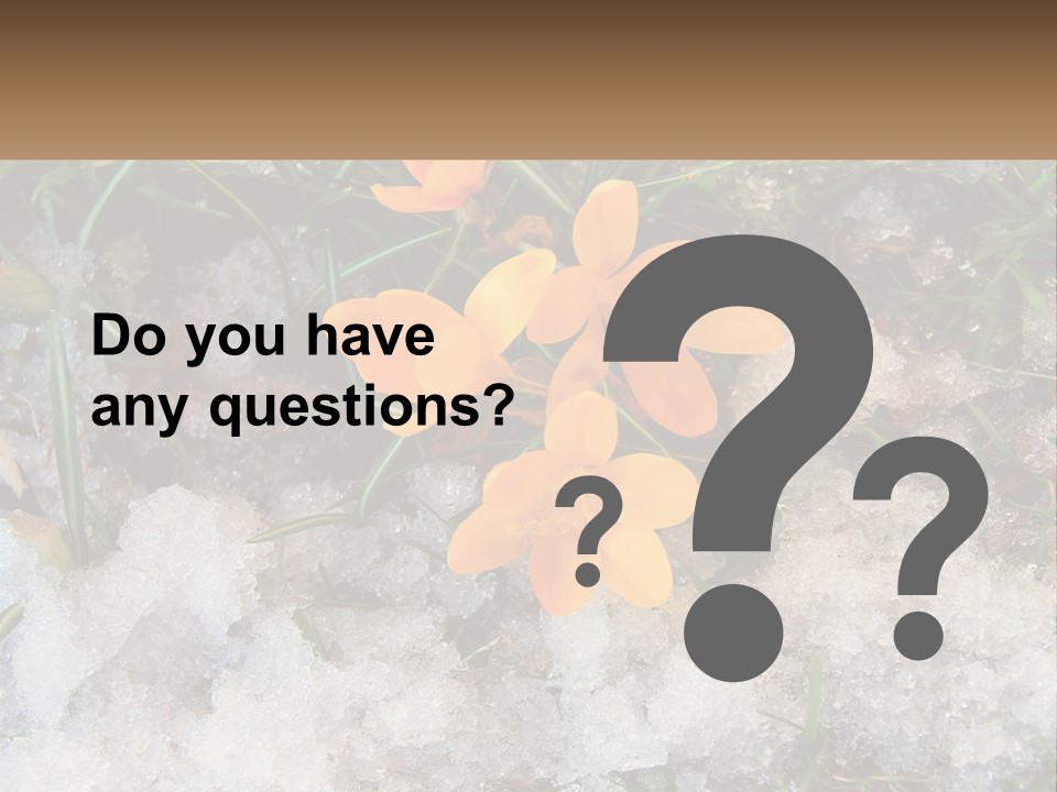 A Group Of Yellow Flowers Sitting On Top Of Snow Covered Ground PowerPoint Template