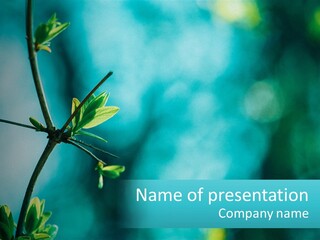 A Tree Branch With Green Leaves On It PowerPoint Template