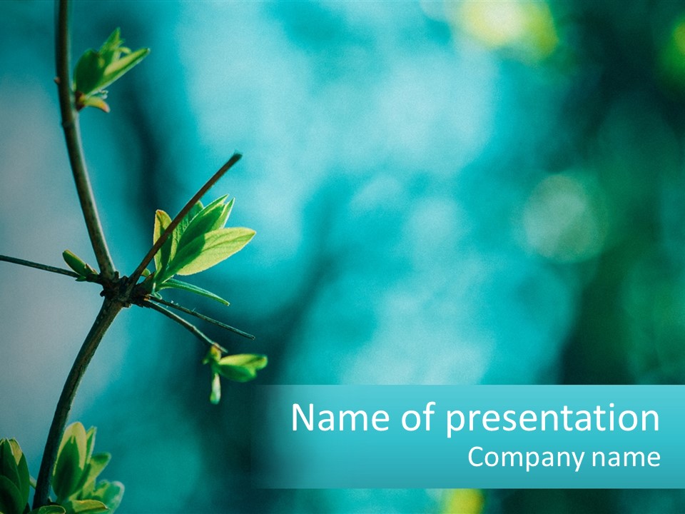 A Tree Branch With Green Leaves On It PowerPoint Template