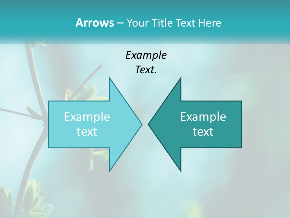 A Tree Branch With Green Leaves On It PowerPoint Template