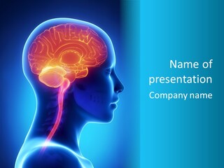 A Human Head With A Brain In The Middle Of It PowerPoint Template