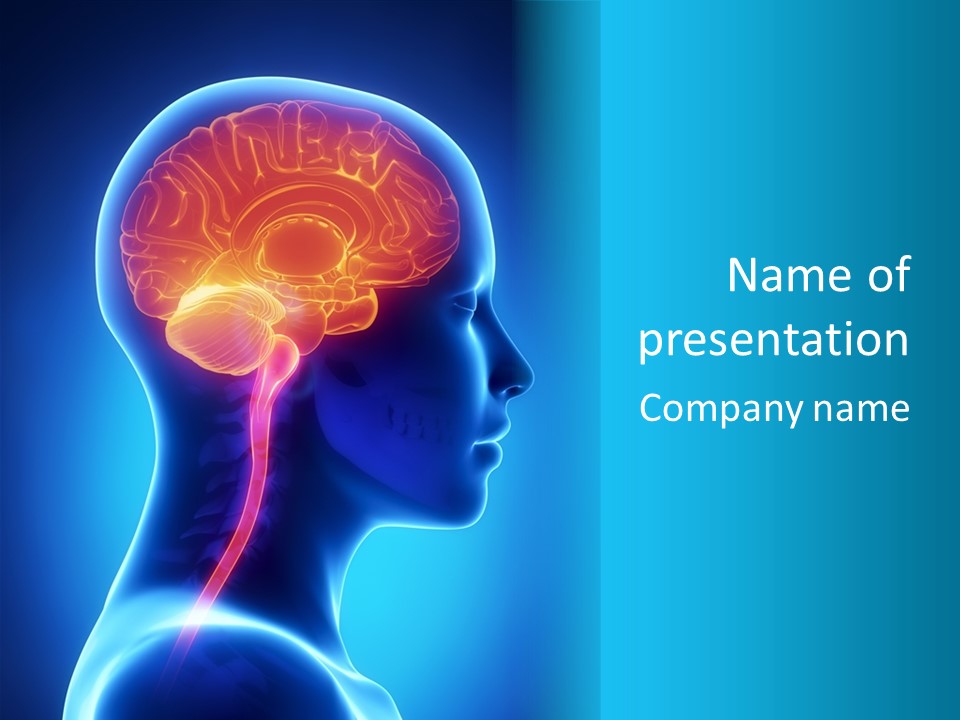 A Human Head With A Brain In The Middle Of It PowerPoint Template