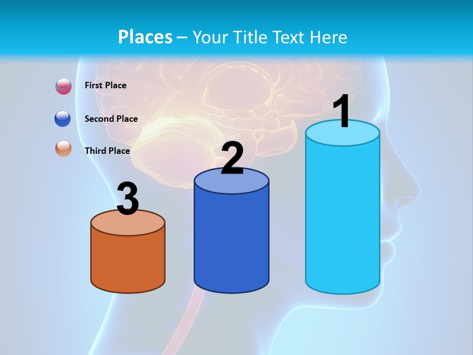 A Human Head With A Brain In The Middle Of It PowerPoint Template