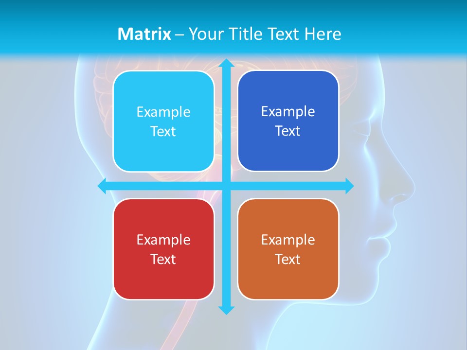 A Human Head With A Brain In The Middle Of It PowerPoint Template