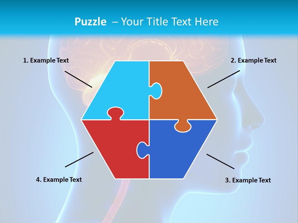 A Human Head With A Brain In The Middle Of It PowerPoint Template
