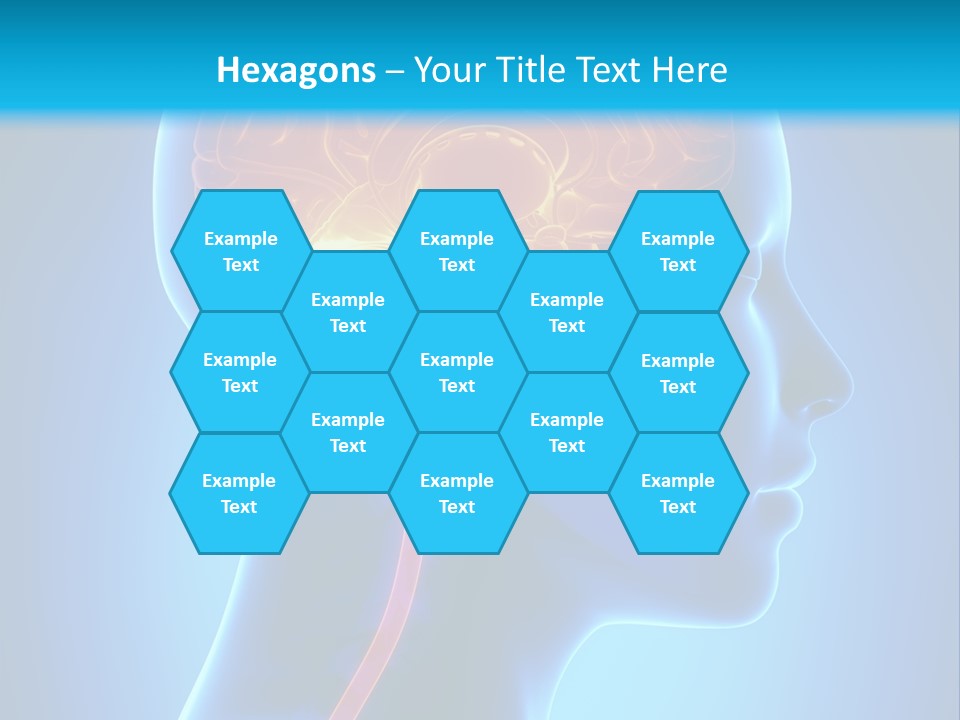 A Human Head With A Brain In The Middle Of It PowerPoint Template