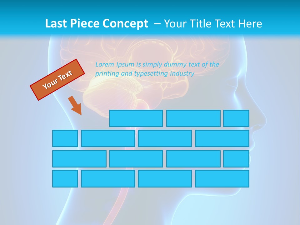 A Human Head With A Brain In The Middle Of It PowerPoint Template