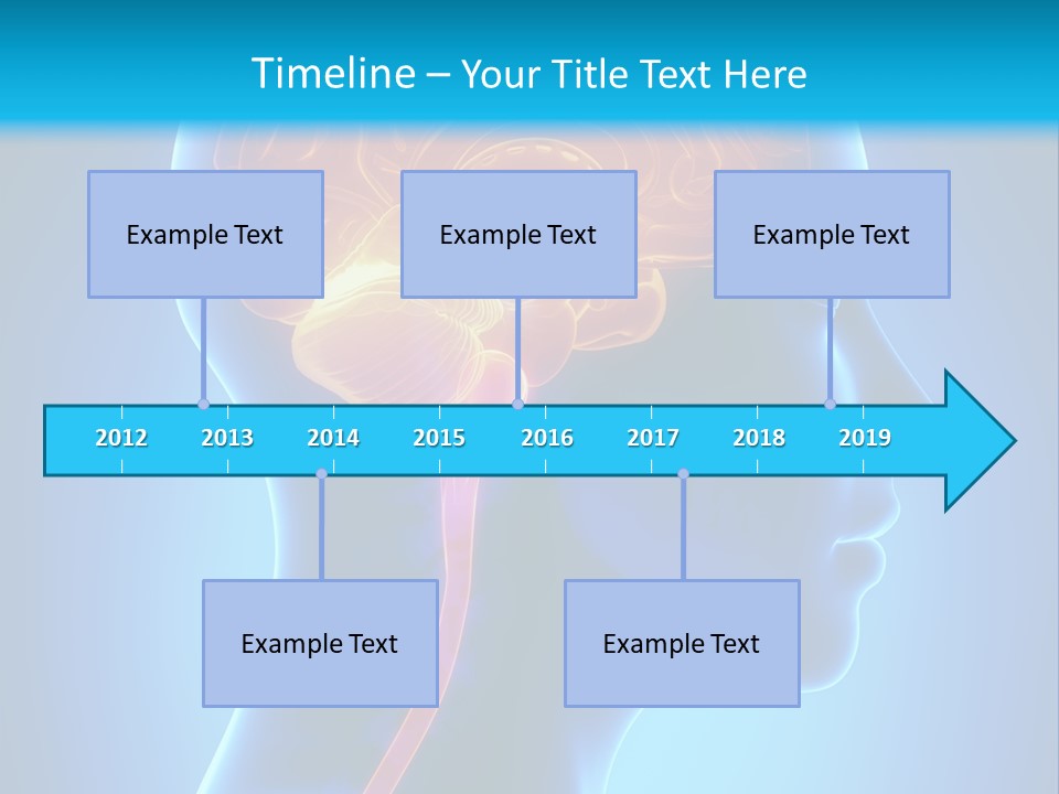 A Human Head With A Brain In The Middle Of It PowerPoint Template