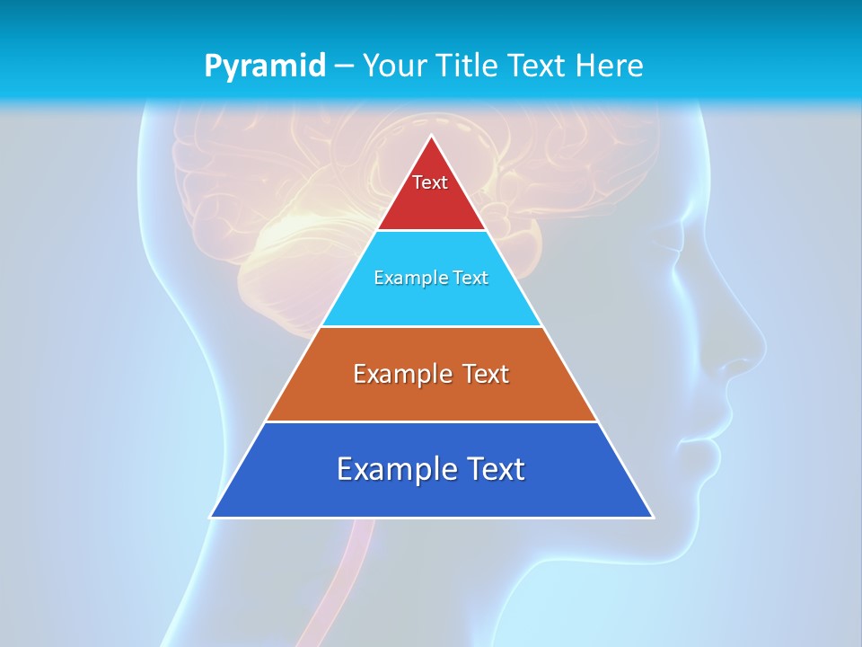 A Human Head With A Brain In The Middle Of It PowerPoint Template