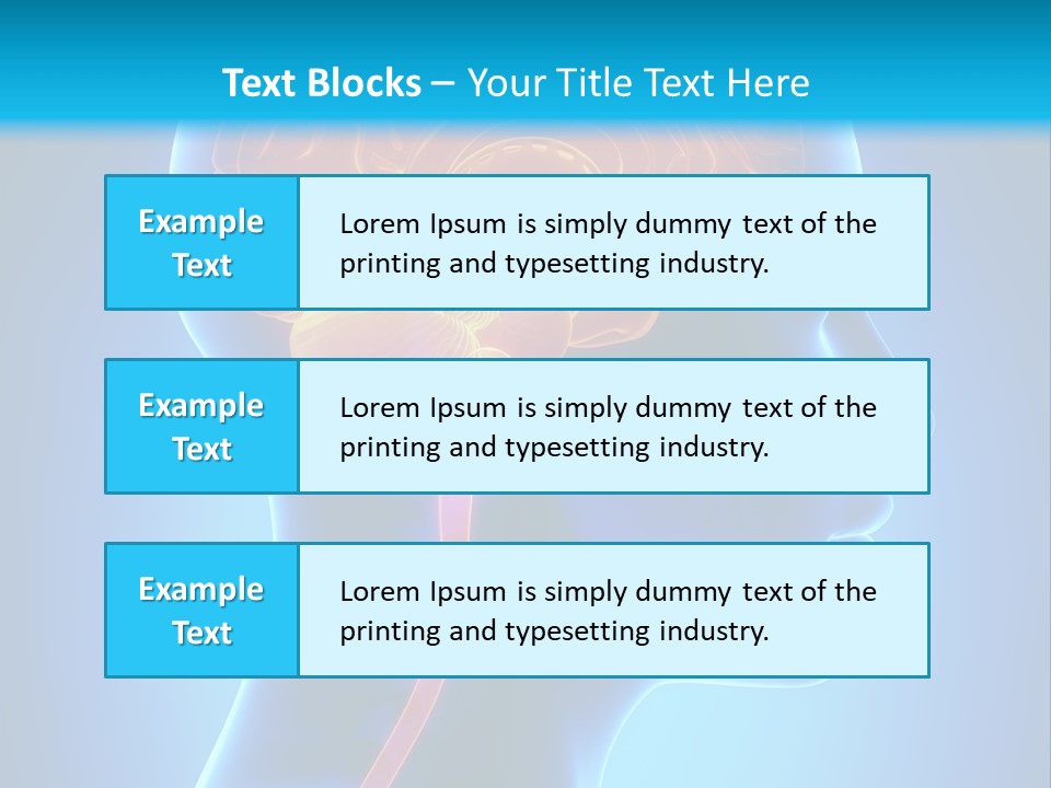A Human Head With A Brain In The Middle Of It PowerPoint Template