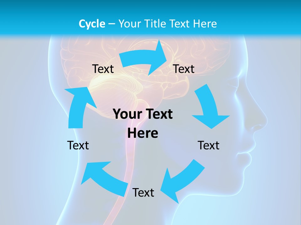 A Human Head With A Brain In The Middle Of It PowerPoint Template