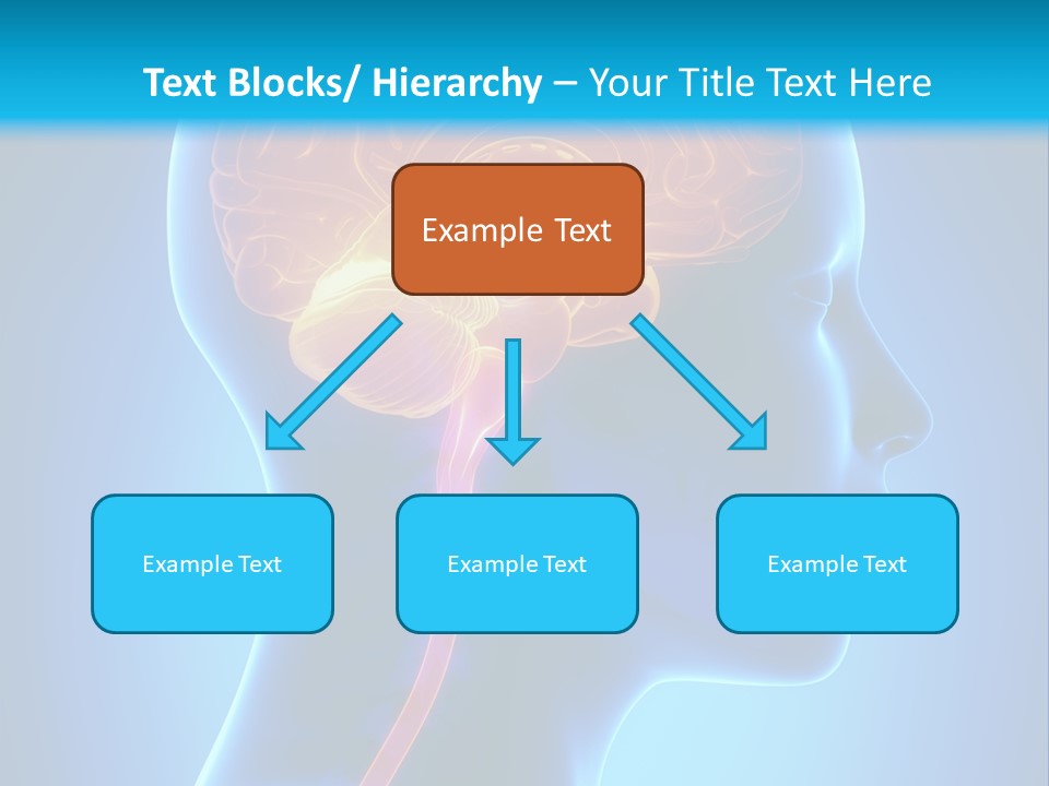 A Human Head With A Brain In The Middle Of It PowerPoint Template