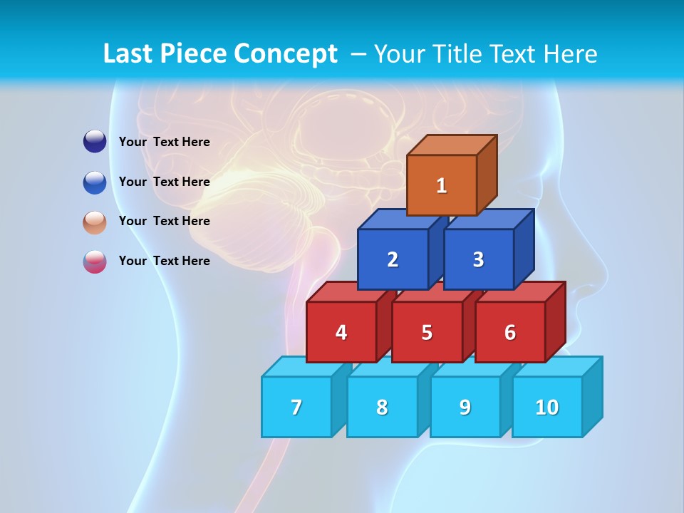 A Human Head With A Brain In The Middle Of It PowerPoint Template
