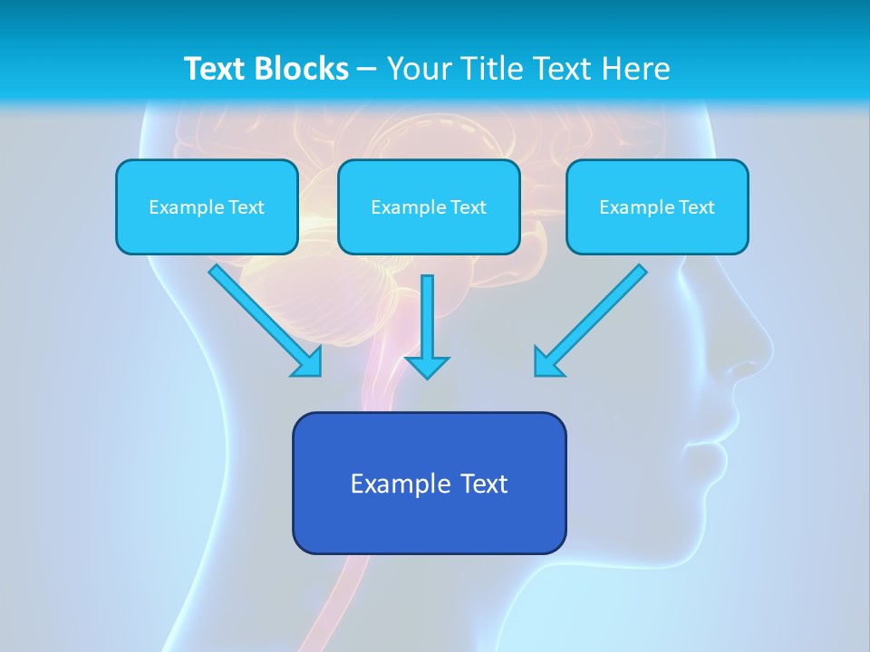 A Human Head With A Brain In The Middle Of It PowerPoint Template