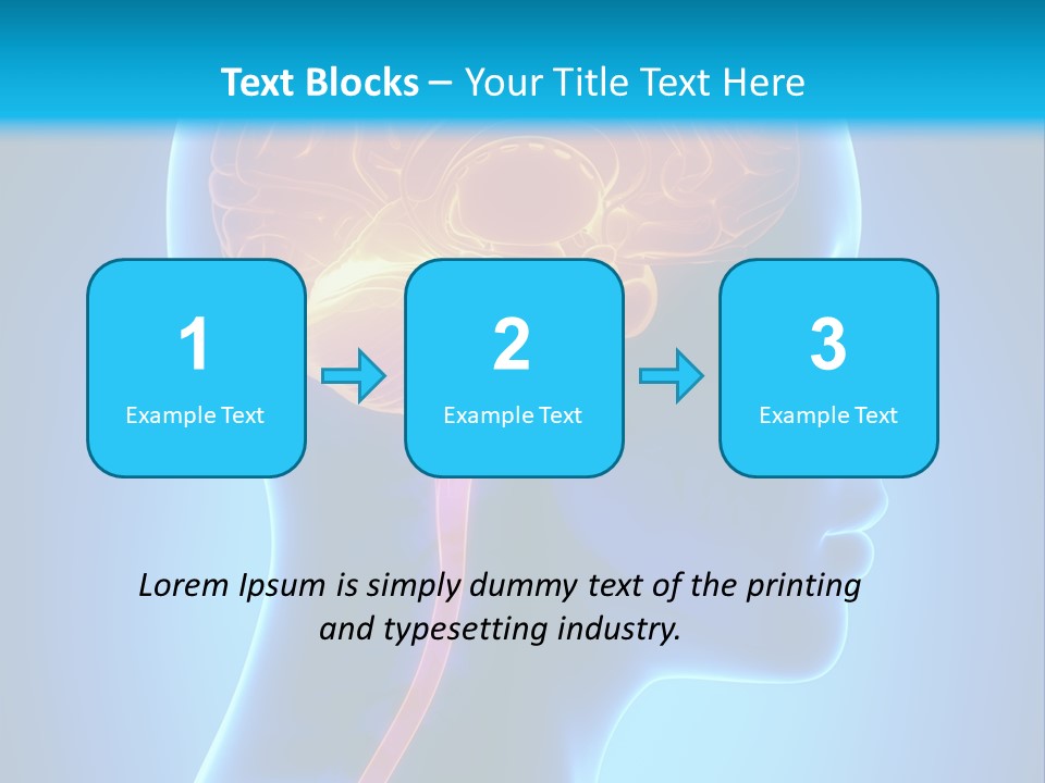 A Human Head With A Brain In The Middle Of It PowerPoint Template