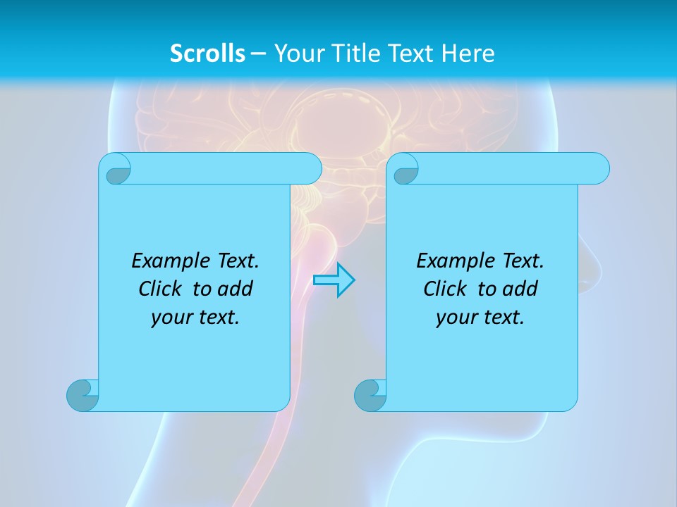 A Human Head With A Brain In The Middle Of It PowerPoint Template
