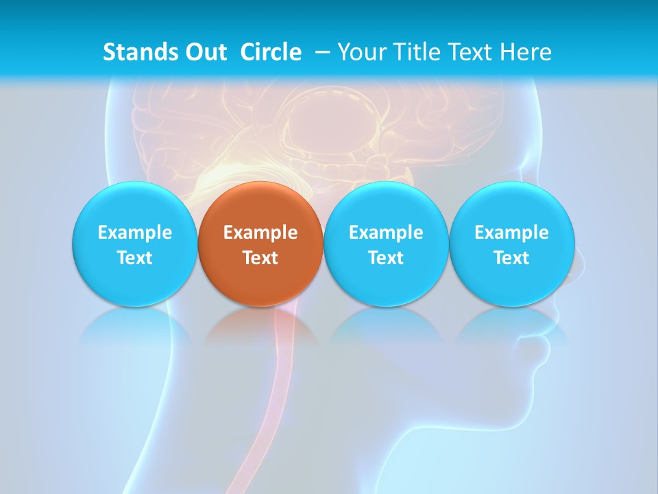 A Human Head With A Brain In The Middle Of It PowerPoint Template