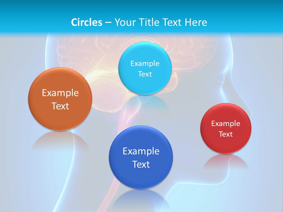 A Human Head With A Brain In The Middle Of It PowerPoint Template