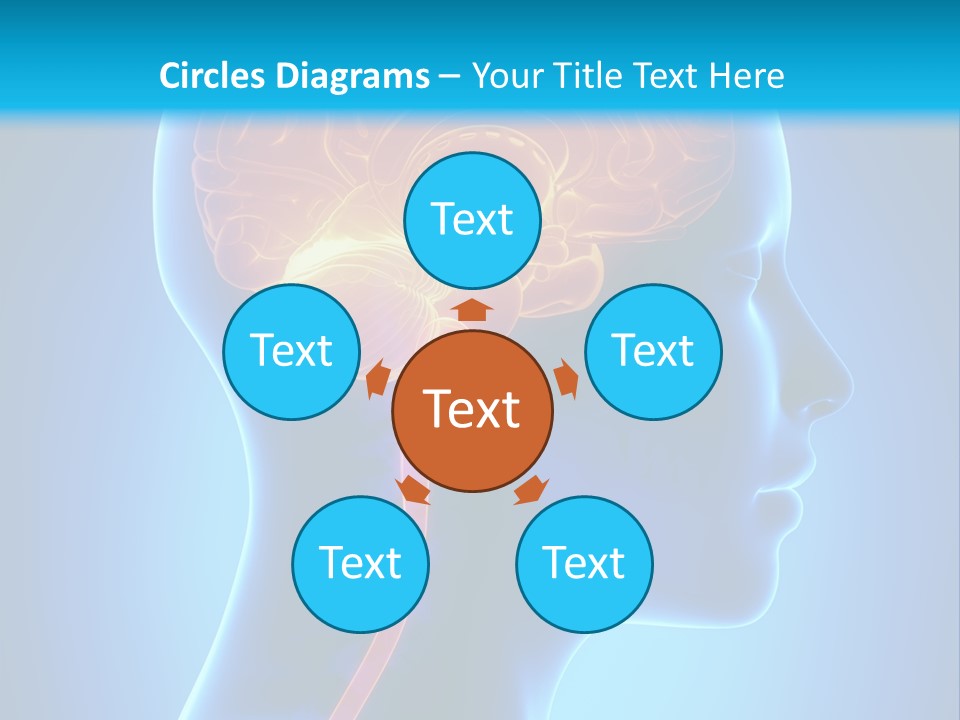 A Human Head With A Brain In The Middle Of It PowerPoint Template