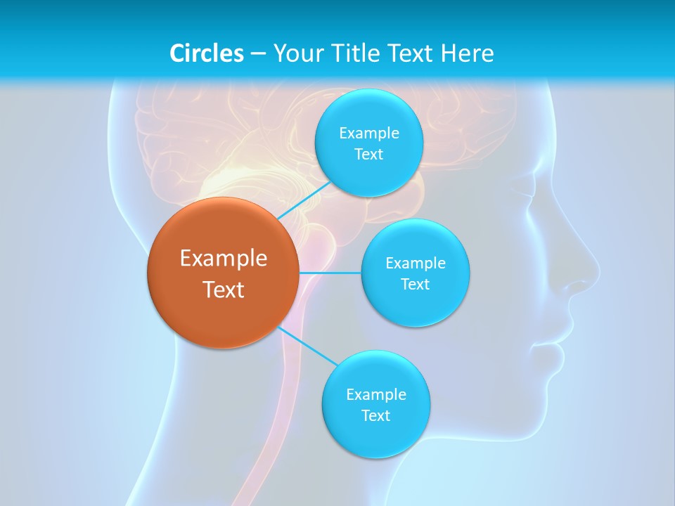 A Human Head With A Brain In The Middle Of It PowerPoint Template