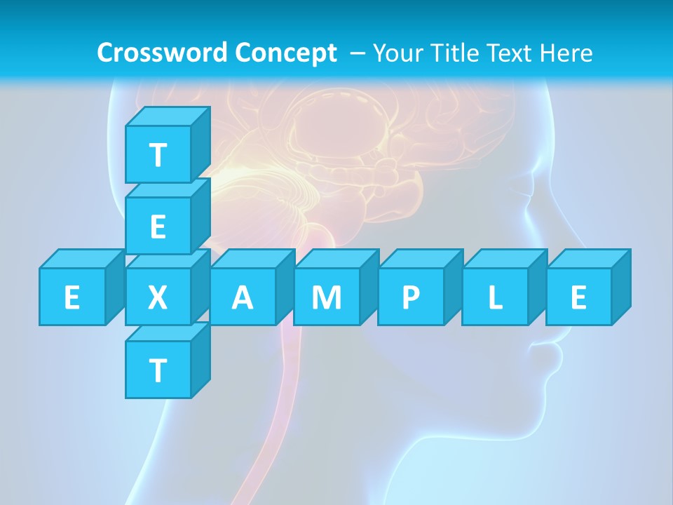 A Human Head With A Brain In The Middle Of It PowerPoint Template