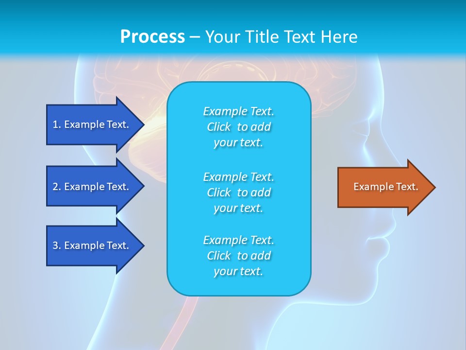 A Human Head With A Brain In The Middle Of It PowerPoint Template