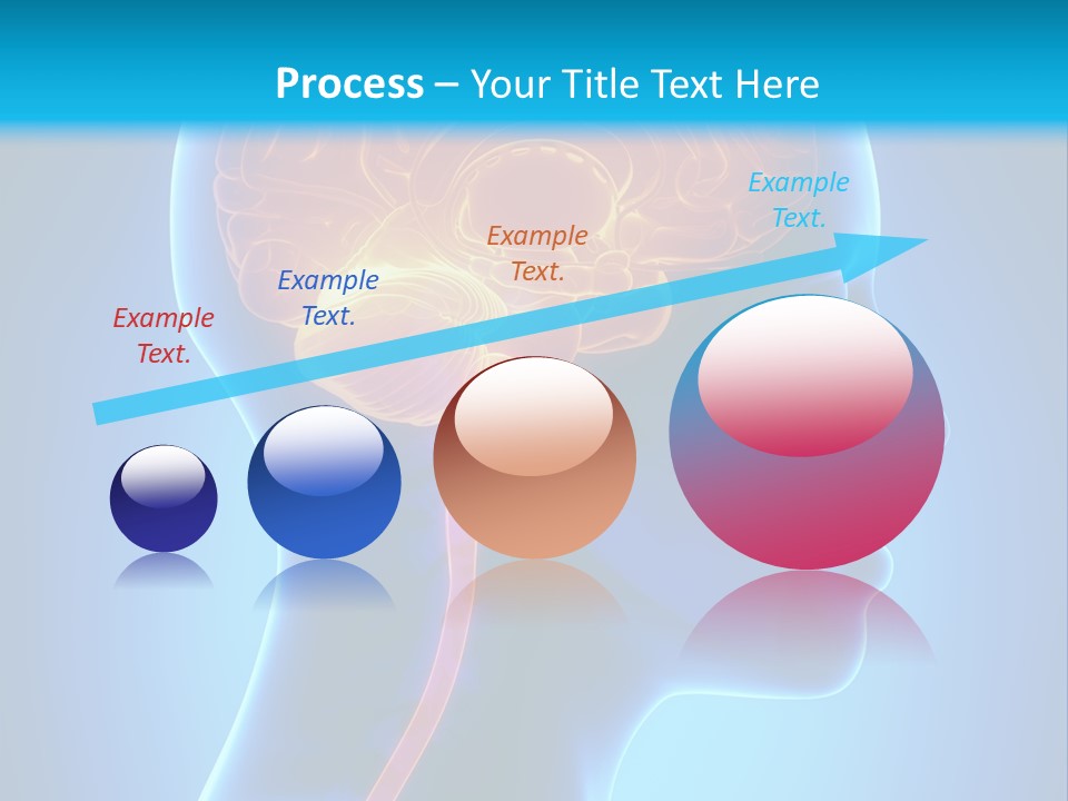 A Human Head With A Brain In The Middle Of It PowerPoint Template