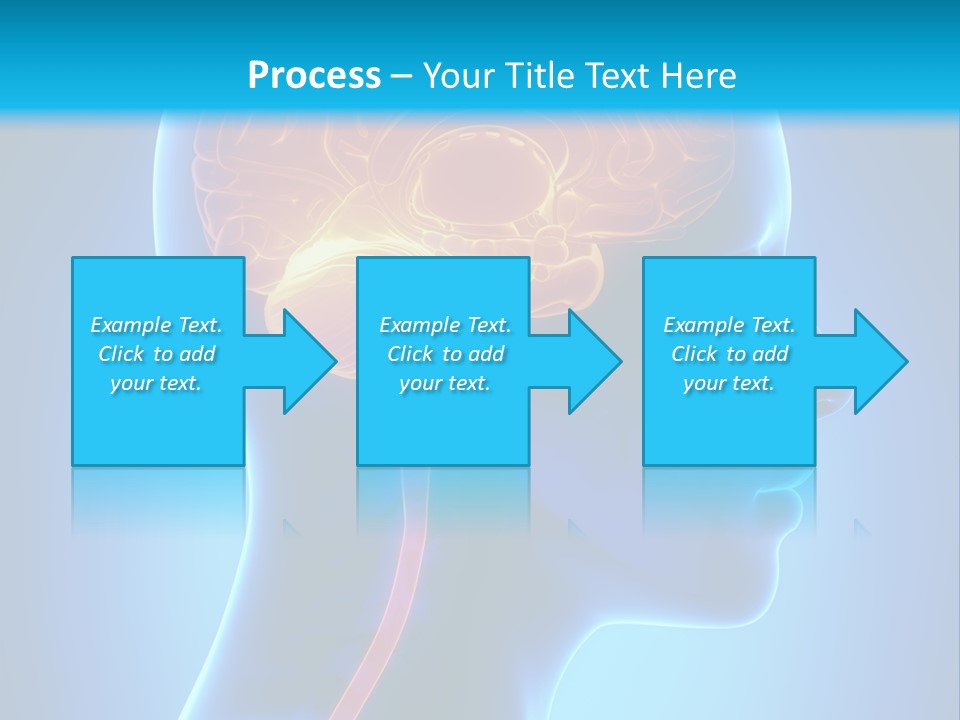 A Human Head With A Brain In The Middle Of It PowerPoint Template