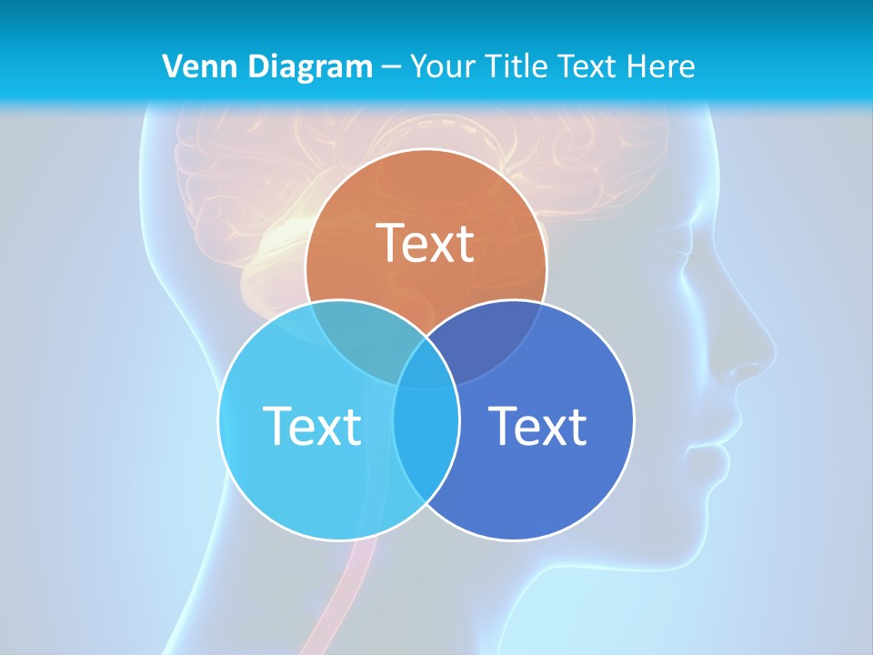 A Human Head With A Brain In The Middle Of It PowerPoint Template