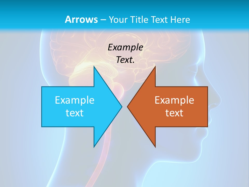 A Human Head With A Brain In The Middle Of It PowerPoint Template