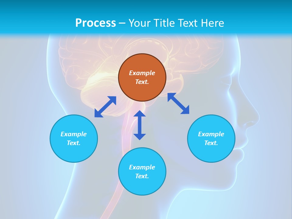 A Human Head With A Brain In The Middle Of It PowerPoint Template